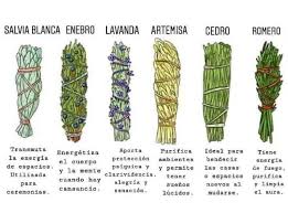 TIPOS DE SAHUMERIOS